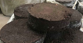 湖南長岳防雷檢測(cè)有限公司